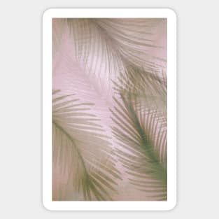 PASTEL FEATHERS PALM TROPICAL MUTED EXOTIC BEACH DESIGN Sticker